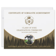 Certificado de Graduação de Pet Diploma de Treinam