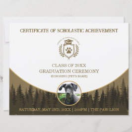 Certificado de Graduação de Pet Diploma de Treinam