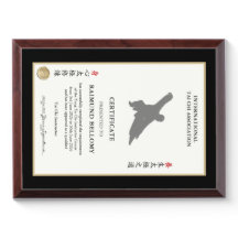 Certificado de Instrutor de Tai Chi