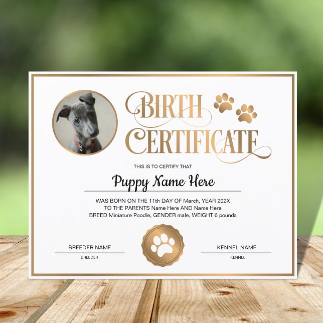 Certificado de Nascimento de Puppy Inserir Impress (Criador carregado)