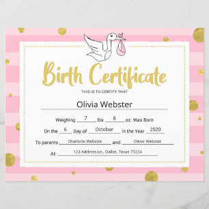 Certificado de Nascimento do Bebê de Marco Rosa
