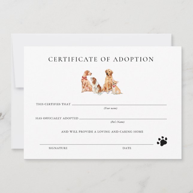 Certificado Formal de Adoção de Pupppy Preto e Bra (Frente)