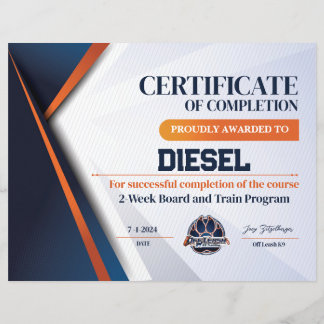 Certificado OLK9 nº 10