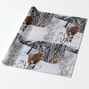 Cervo no Papel de Presente de Natal do Inverno Mág