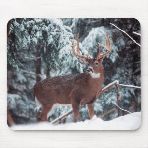 Cervos na neve Mousepad