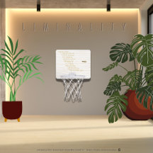 Liminality Mini Basball Hoop de Adiela Akoo