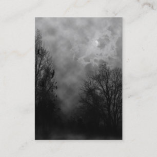 Céu Assombrado com Ravens Cartão de visita