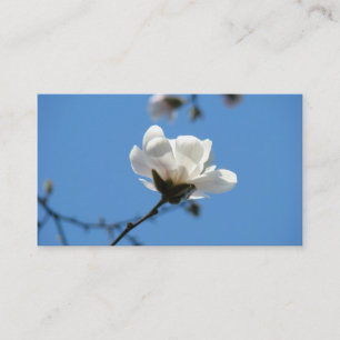 Céu azul dos cartões de visitas brancos da flor