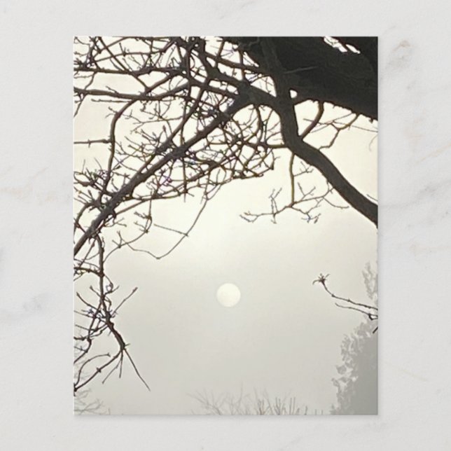 Céu Branco E Sol Dramaticamente Enquadrados Por Ár (Frente)