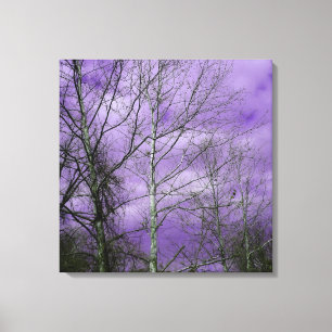 Céu do inverno com canvas desencapadas das árvor