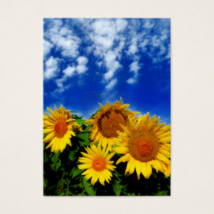Céu e flor, cartões de visitas