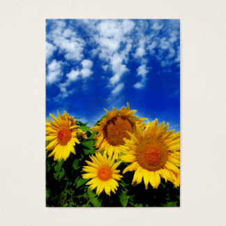 Céu e flor, cartões de visitas