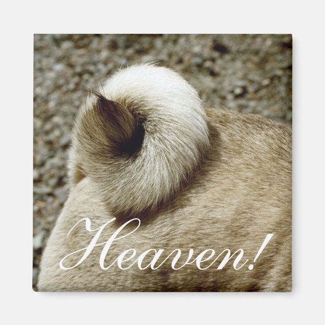 Céu! Íman (Frente)