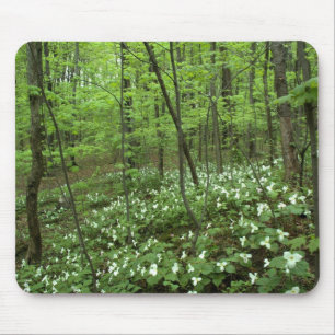 Céu Mousepad do Trillium
