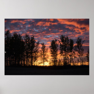 Céu vermelho no poster da noite