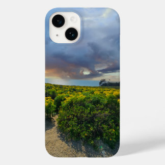 Céus Dramáticos no pôr do sol no ponto