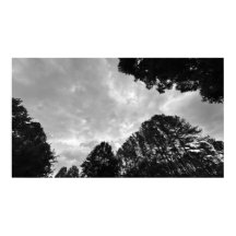 Céus nublados, Poster