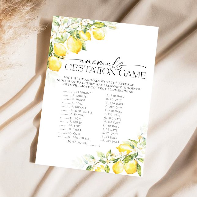 Chá de Bebê Limão Cítrico Gestação Chá de Bebê (Criador carregado)
