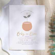 Chá de Bebê Orçamento Bebê em Flor Vaso de Planta