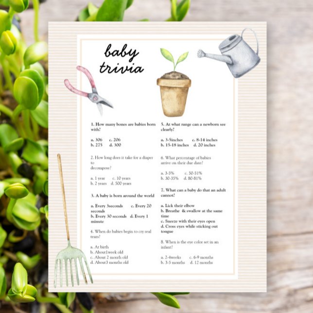 Chá de fraldas de broto - Jogo "Baby Trivia" (Criador carregado)