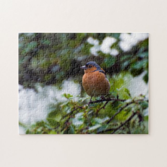 Chaffinch em um galho quebra-cabeça de serra (Horizontal)