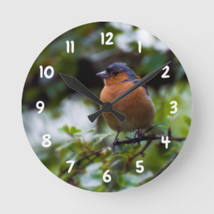 Chaffinch numa ramificação Relógio de parede ac