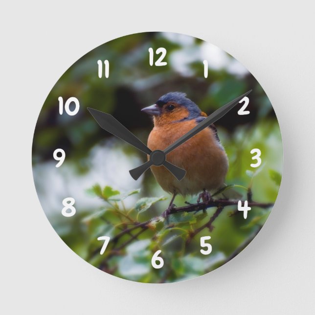 Chaffinch numa ramificação Relógio de parede acríl (Frente)