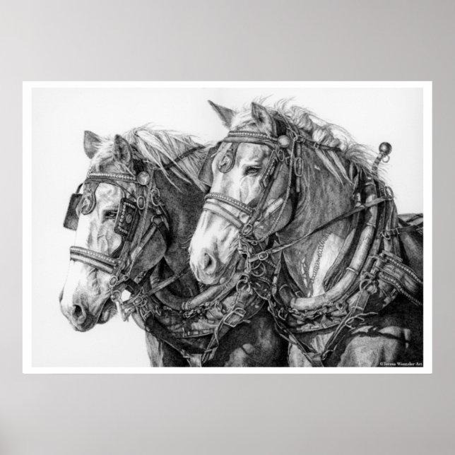 Chained to the World Draft Horses Drawing Poster (Frente)