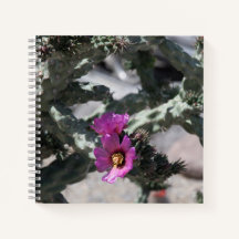 Challa Cactus em flor