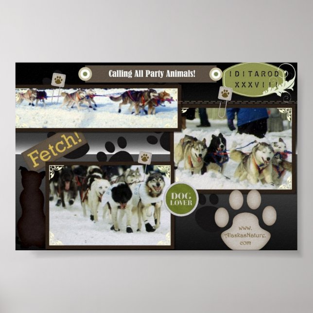 "Chamando todos os animais de festa" Poster (Frente)