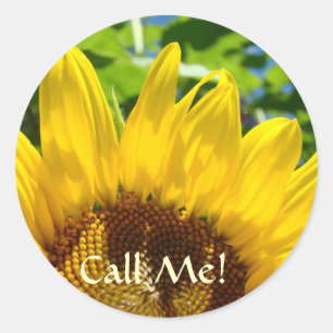 Chame-me de adesivos Sunflower adesivos