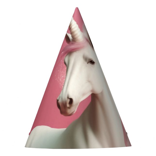 Chapéu de Festa (Frente)