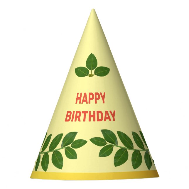 Chapéu De Festa A Baía Verde Moderna Sai Aniversário (Frente)