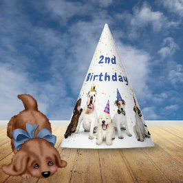 Chapéu De Festa Aniversário de Cachorro | Azul