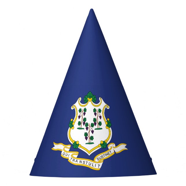 Chapéu De Festa Bandeira do Estado de Connecticut (Frente)