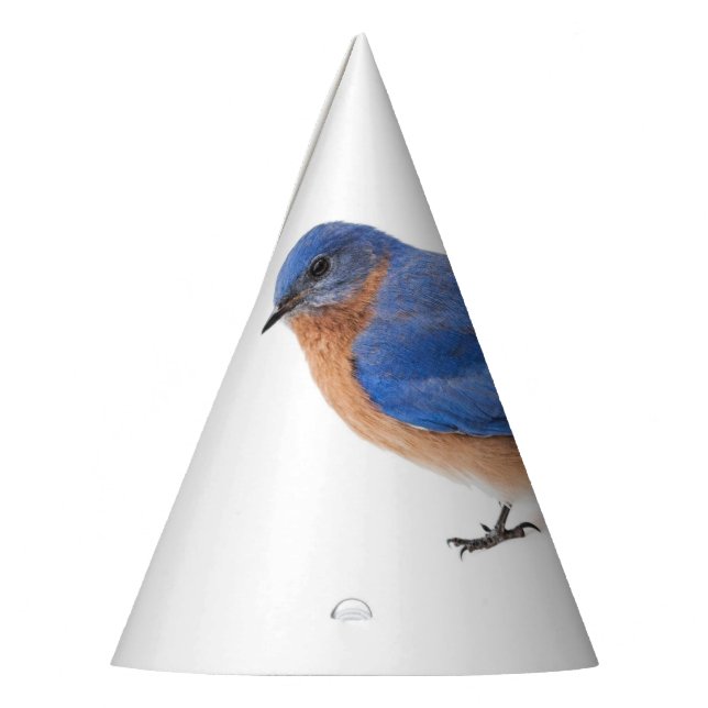 Chapéu De Festa Bluebird (Esquerda)