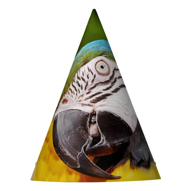 Chapéu De Festa Cabeça de arara azul e amarela (Frente)