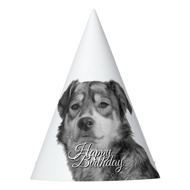 Chapéu De Festa Cachorro Misturado Monocromático Refinado de Anive (Frente)