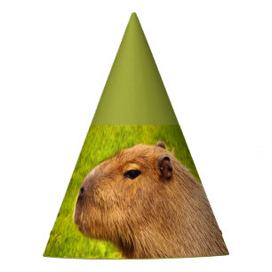 Chapéu De Festa Capivara