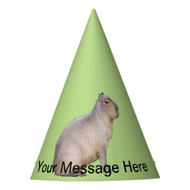 Chapéu De Festa Capybara (Frente)