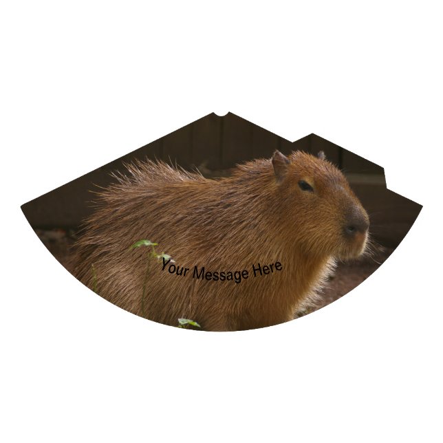 Chapéu De Festa Capybara (Frente)