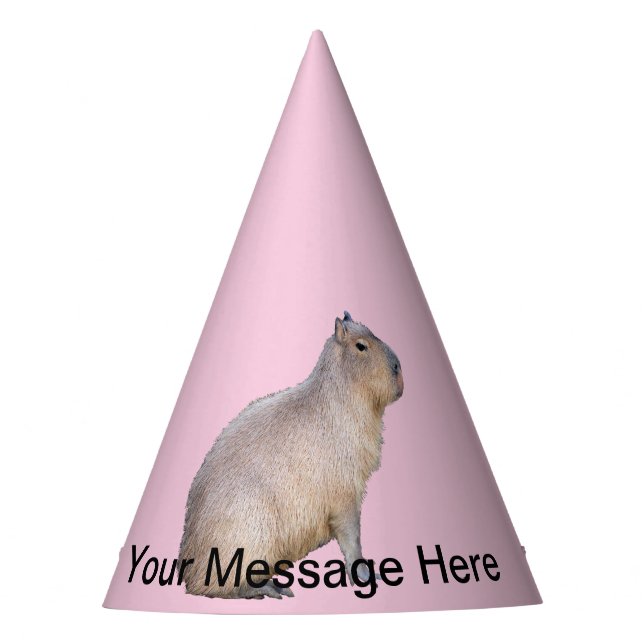 Chapéu De Festa Capybara (Frente)