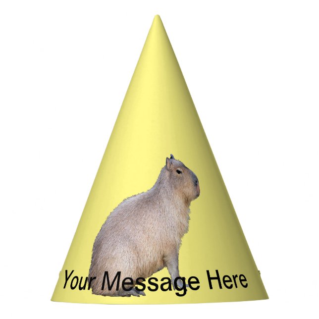 Chapéu De Festa Capybara (Frente)
