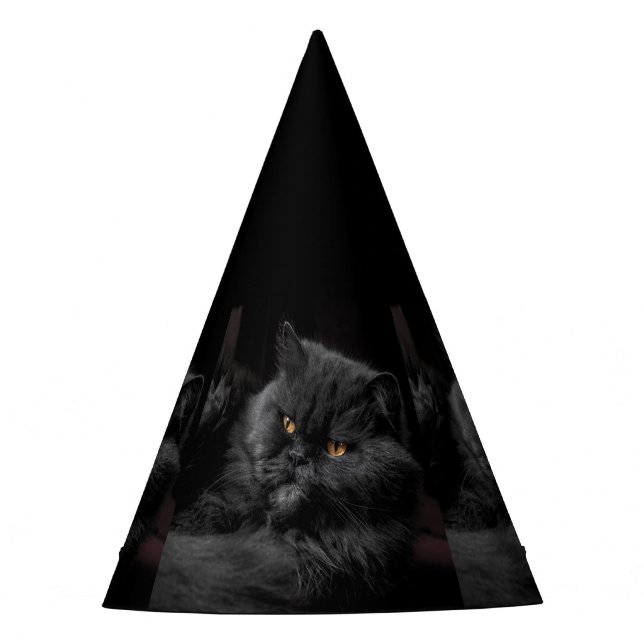 Chapéu De Festa Cat_20180101_by_JAMFoto (Frente)