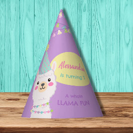 CHAPÉU DE FESTA CORES DE COSTELO CUTO NO ANIVERSÁRIO DE LLAMA