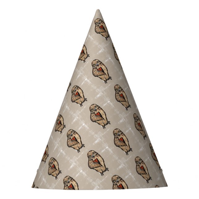 Chapéu De Festa Coruja Sábia (Frente)