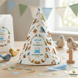 Chapéu De Festa Cute Birds 1st Birthday Party – Fun Kids 