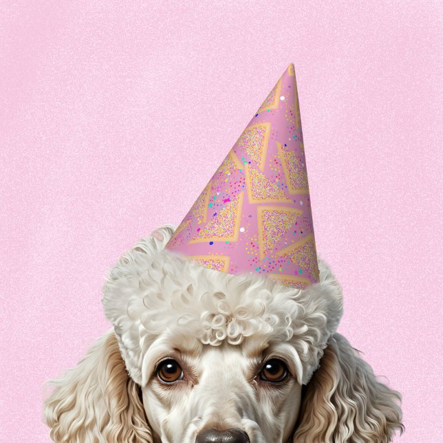 Chapéu De Festa Diversão Sprinkle Aussie, Aniversário de criança C (Criador carregado)