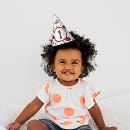 Chapéu De Festa Fada Primeiro Prato de Coguete Florestal de Cogume