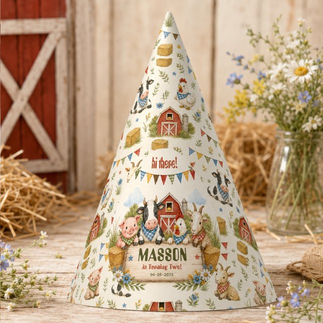 Chapéu De Festa Festa de Aniversário Infantil Rustic Barnyard 2º A (Rustic Barnyard 2nd Birthday kids Party Hat
)